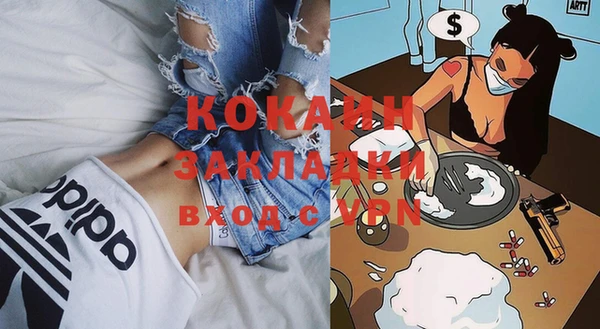 МДПВ Козловка