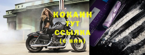 МДПВ Козловка
