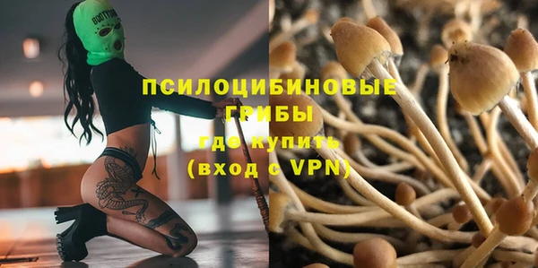 МДПВ Козловка