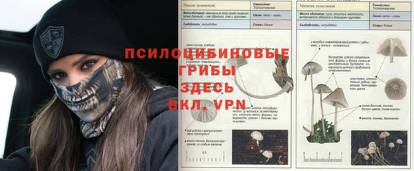 героин Козельск